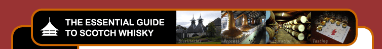 The Essential Guide to Scotch Whisky